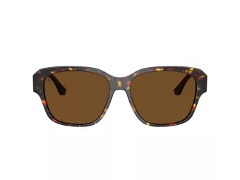 Ferrari Gafas de Sol FH 2016D 731/57