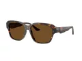 Ferrari Gafas de Sol FH 2016D 731/57