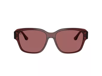 Ferrari Gafas de Sol FH 2016D 732/AF