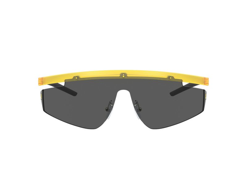 Ferrari Scuderia Gafas de Sol FZ 6001 507/87