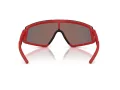Ferrari Scuderia Gafas de Sol FZ 6009U 514/6Q