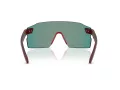 Ferrari Scuderia Gafas de Sol FZ 6024U 530/M5