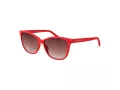 Gant Gafas de Sol GA 8084 67F