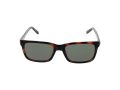 Guess Gafas de Sol GU 00066 52N