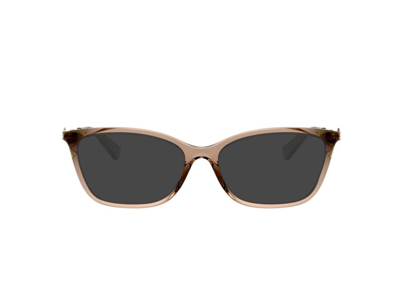 Coach Gafas Graduadas HC 6146U 5561