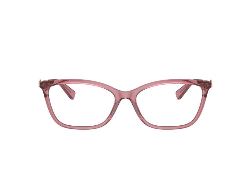 Coach Gafas Graduadas HC 6146U 5800