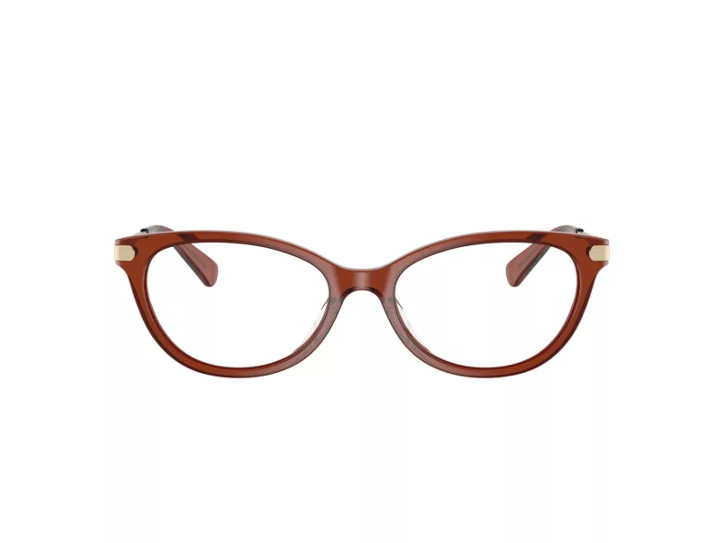 Coach Gafas Graduadas HC 6245U 5847