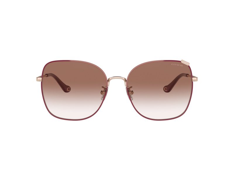 Coach C7997 Gafas de Sol HC 7133 94038D