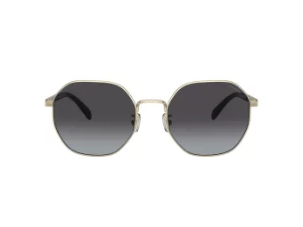 Coach Ch556 Gafas de Sol HC 7147 90058G