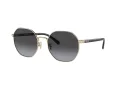 Coach Ch556 Gafas de Sol HC 7147 90058G