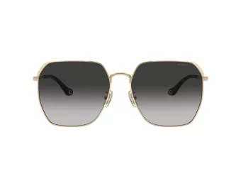 Coach Cr638 Gafas de Sol HC 7165D 90053C