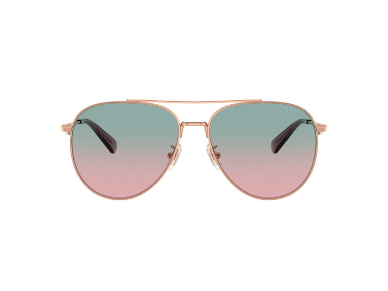 Coach Cw193 Gafas de Sol HC 7169 93310Q