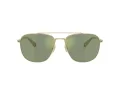 Coach Cw404 Gafas de Sol HC 7172 90056R