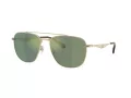 Coach Cw404 Gafas de Sol HC 7172 90056R