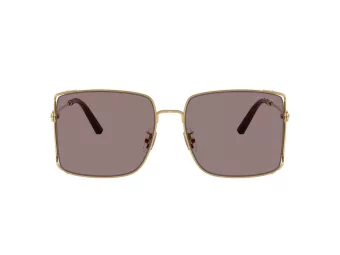 Coach Cw429 Gafas de Sol HC 7174D 94417N