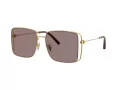 Coach Cw429 Gafas de Sol HC 7174D 94417N