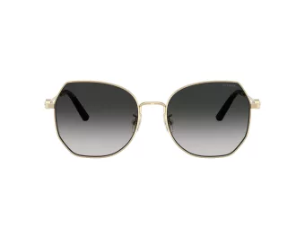 Coach Cad79 Gafas de Sol HC 7175 90053C