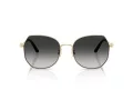 Coach Cad79 Gafas de Sol HC 7175 90053C