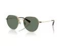 Coach Cae81 Gafas de Sol HC 7179 90053H