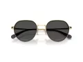 Coach Cae81 Gafas de Sol HC 7179 900587
