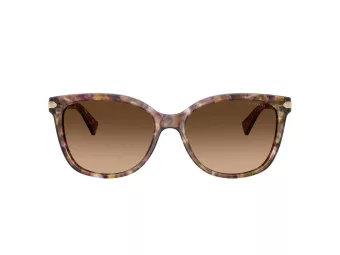 Coach L109 Gafas de Sol HC 8132 528713