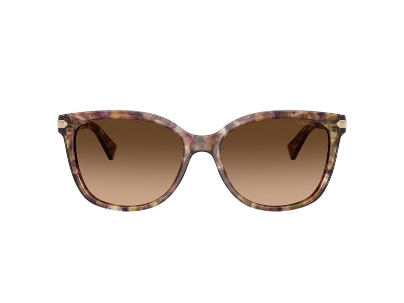 Coach L109 Gafas de Sol HC 8132 528713