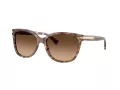 Coach L109 Gafas de Sol HC 8132 528713