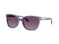 Coach L109 Gafas de Sol HC 8132 52888H