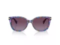 Coach L109 Gafas de Sol HC 8132 52888H