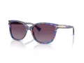 Coach L109 Gafas de Sol HC 8132 52888H