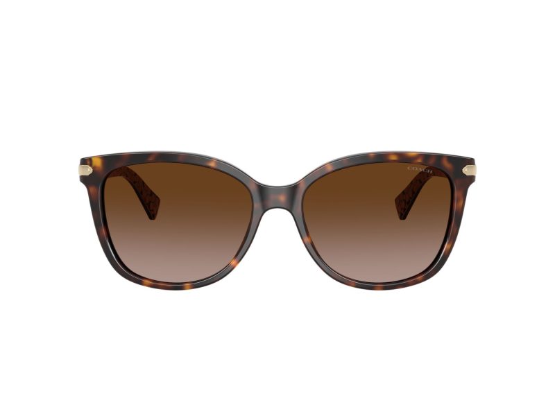 Coach L109 Gafas de Sol HC 8132 529113