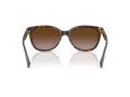Coach L109 Gafas de Sol HC 8132 529113