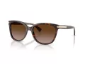 Coach L109 Gafas de Sol HC 8132 529113