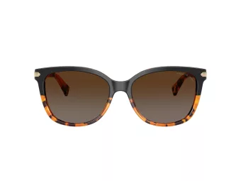 Coach L109 Gafas de Sol HC 8132 5438T5