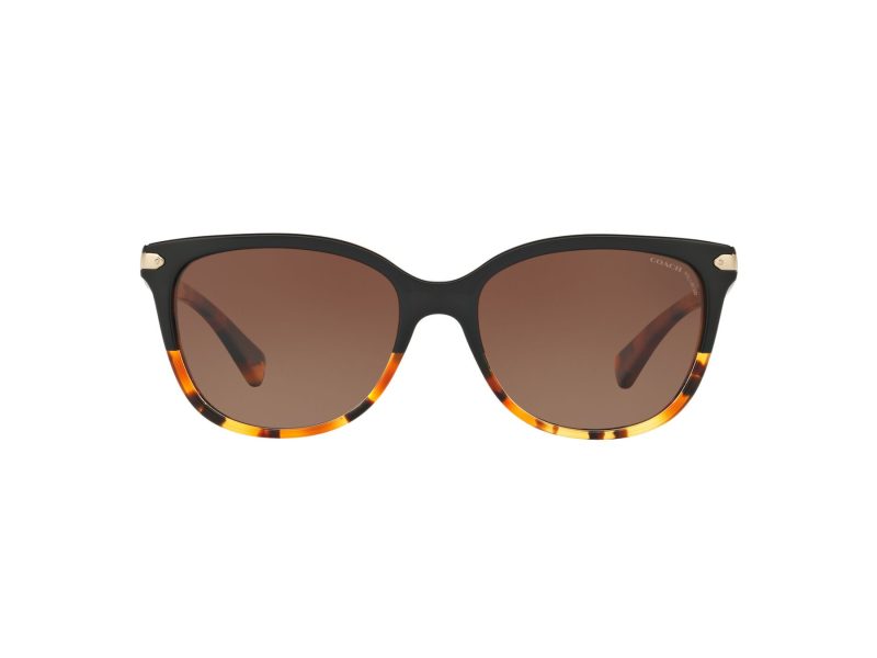 Coach L109 Gafas de Sol HC 8132 5438T5