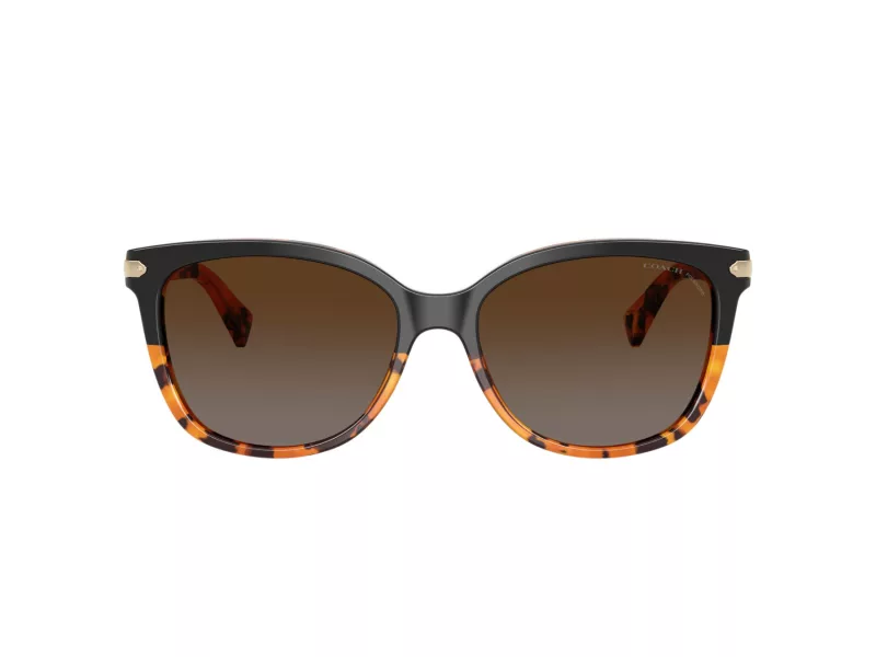 Coach L109 Gafas de Sol HC 8132 5438T5