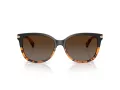 Coach L109 Gafas de Sol HC 8132 5438T5