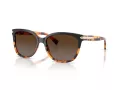 Coach L109 Gafas de Sol HC 8132 5438T5