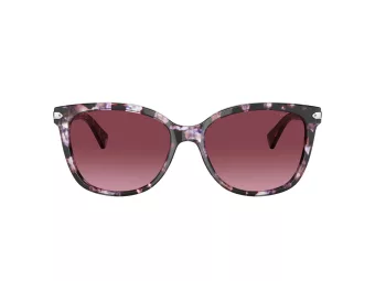Coach L109 Gafas de Sol HC 8132 55488H