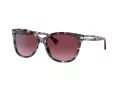 Coach L109 Gafas de Sol HC 8132 55488H