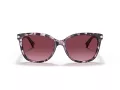 Coach L109 Gafas de Sol HC 8132 55488H