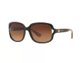 Coach L149 Gafas de Sol HC 8169 535313