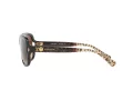 Coach L149 Gafas de Sol HC 8169 535313