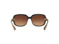 Coach L149 Gafas de Sol HC 8169 535313