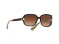 Coach L149 Gafas de Sol HC 8169 535313