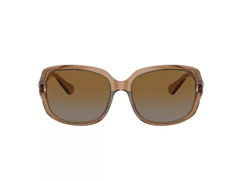 Coach L149 Gafas de Sol HC 8169 5561T5