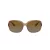 Coach L149 Gafas de Sol HC 8169 5561T5