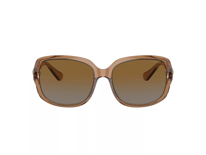 Coach L149 Gafas de Sol HC 8169 5561T5