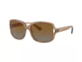 Coach L149 Gafas de Sol HC 8169 5561T5