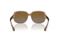 Coach L149 Gafas de Sol HC 8169 5561T5